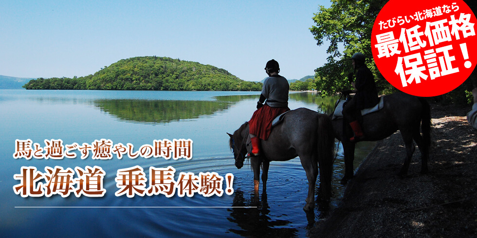 馬と過ごす癒やしの時間 北海道 乗馬体験